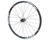 Image 1 for Zipp Speed Weaponry 30 Course Disc Rear Wheel (Black)
