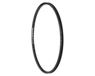 Alexrims DH19 Disc Rim (Black) (700c) (36H) (Presta) | product-also-purchased