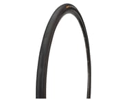 more-results: Continental Sprinter Tubular Tire (Black) (700c) (25mm)