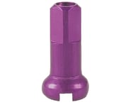 DT Swiss Alloy Nipples (Purple) (2.0 x 12mm) (Box of 100) | product-related