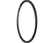 more-results: DT Swiss RR 481 Road Rim (Black) (Tubeless) (Disc Brake) (22mm Internal Width)