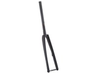 Enve Road Flat-Mount Disc Fork (Black) (12 x 100mm) | product-also-purchased