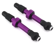 Industry Nine Tubeless Presta Valve Stems (Purple) | product-related