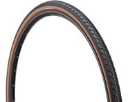 Kenda Kwest Hybrid Tire (Black/Mocha) | product-related