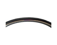 Panaracer Pasela Road Tire (Tan Wall) | product-also-purchased