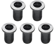 Problem Solvers 12.5mm Inner Chainring Bolts (Silver) (Chromoly) | product-related