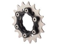 Problem Solvers Single Speed Cog & Carrier (For Shimano Freehub) | product-related