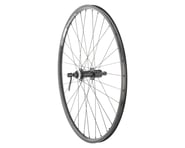 Quality Wheels Value Double Wall Series Rim/Disc Rear Wheel (Black) | product-related