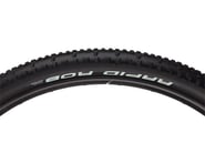 more-results: Schwalbe Rapid Rob Mountain Tire (Black) (29") (2.1")