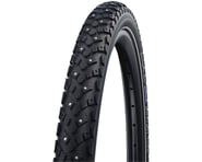 more-results: Schwalbe Winter Ice Spike Tire (Black/Reflex)