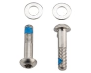 more-results: SRAM Flat Mount Bolts (42mm) (Titanium) (T25) (Pair)