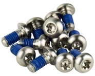 more-results: SRAM Titanium Rotor Bolt Kit Description: SRAM Titanium Rotor Bolts add a dazzling tou