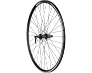 more-results: Sta-Tru Sport Rear Road Wheel (Black) (Shimano HG) (QR x 130mm) (700c)