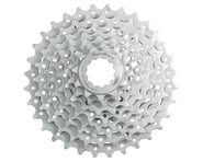 more-results: Sunrace CSM66 Cassette (Sandblast) (8 Speed) (Shimano/SRAM) (12-34T)