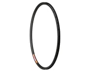 Velocity Dyad Disc Rim (Black) | product-related