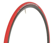 Vittoria Zaffiro Pro Home Trainer Tire (Red) (Folding) (700 x 23) | product-also-purchased