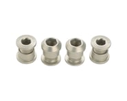 Wolf Tooth Components Dual Hex Fitting Chainring Bolts (Silver) (6mm) | product-related