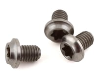 Cane Creek eeWings Titanium Direct Mount Chainring Bolts (3-Pack)
