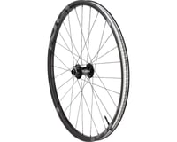 E*Thirteen TRSr SL Disc Mountain Front Wheel (Black)