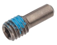 Fox Suspension Set Screw (M3x.5mm) (.300TLG) (SS) (QTY 10)