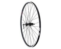 Quality Wheels 105/A23 Rear Wheel (700c) (QR x 130mm) (Rim Brake) (HG 11/12) (Clincher)