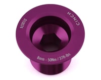 Race Face CINCH Crank Bolt w/ Washer (Gloss Purple) (NDS) (M18)