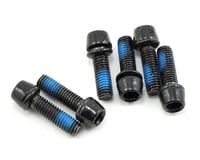 Ritchey WCS C220 Replacement Stainless Steel Bolt Set (Black) (6)