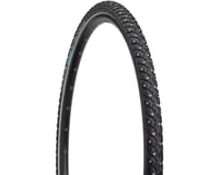 Schwalbe Marathon Winter Plus Steel Studded Tire (Black)