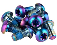 SRAM Titanium Rotor Bolt Kit (Rainbow) (T25)