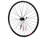 Sta-Tru Quick Release Single Wall Rear Wheel (Black) (Freewheel) (QR x 135mm) (700c)