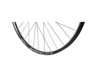 Stan's Arch S1 Disc Rear Wheel (Black)