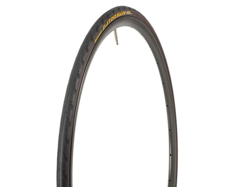 Continental Gatorskin Tire (Black) (700c) (23mm)