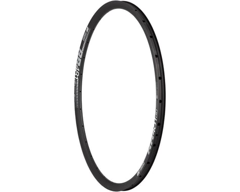 DT Swiss RR 481 Road Rim (Black) (Tubeless) (Disc Brake) (22mm Internal Width) (24H) (700c)