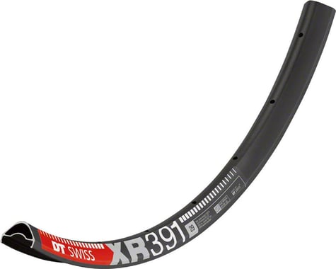 DT Swiss XR 391 Tubeless-Ready Disc Rim (Black) (28H) (29")