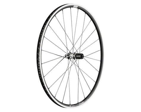 DT Swiss PR1600 Spline 23 Rear Wheel (Black) (Shimano/SRAM 11spd Road) (QR x 130mm) (700c / 622 ISO)