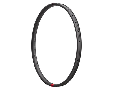 Reserve Wheels 30 DH Mountain Rim (Carbon) (29") (32H)