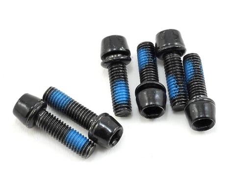 SCRATCH & DENT: Ritchey WCS C220 Replacement Stainless Steel Bolt Set (Black)