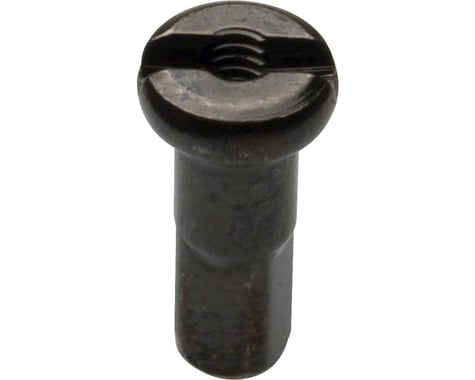 Wheelsmith Brass Nipples (Black) (2.0 x 12mm) (Bag of 50)