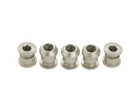Wolf Tooth Components Dual Hex Fitting Chainring Bolts (Silver) (6mm) (5 Pack)