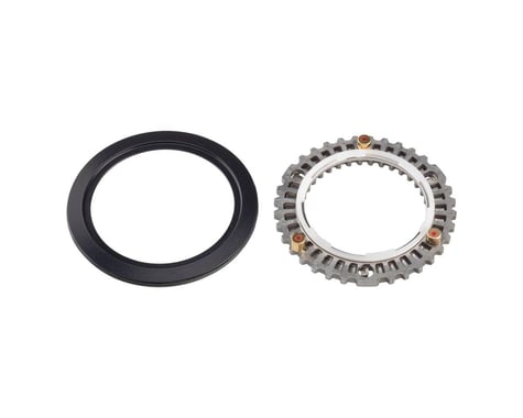 Zipp Cognition NSW Clutch Assembly and Seal (Rear Wheel)