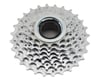 Image 1 for Sunrace Freewheel (Silver) (7 Speed) (13-28T)